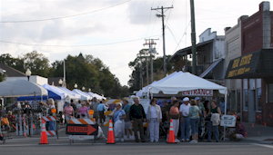 Florida Manatee Festival 2014