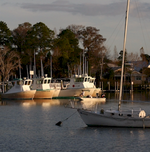 Kings Bay Crystal River